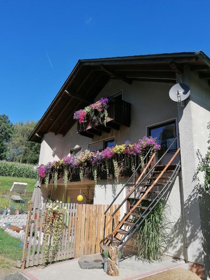 Ferienwohnung Egelkraut Schwarzenbach an der Saale Exteriör bild